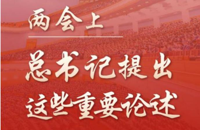 两会上，总书记提出这些重要论述
