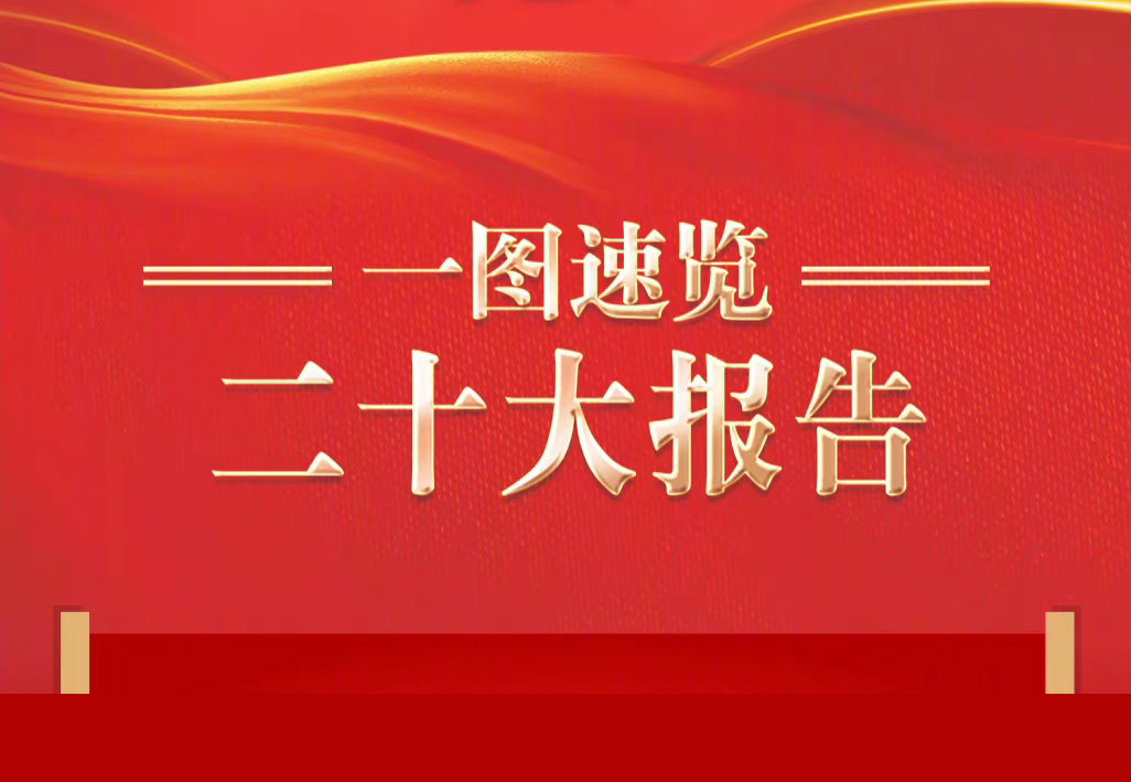 一图速览二十大报告