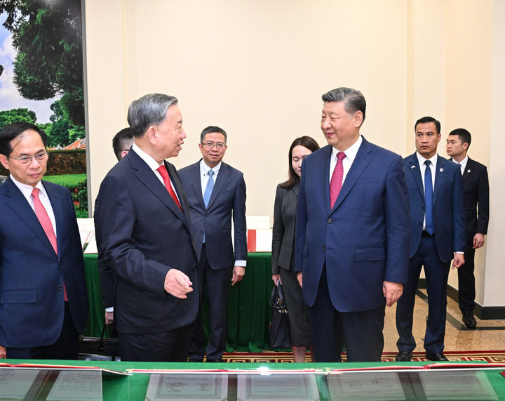 习近平同越共中央总书记苏林举行会谈